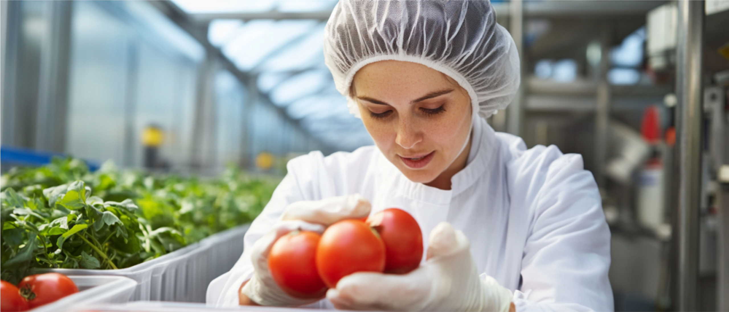 food manager